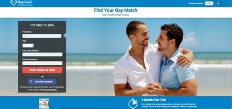 gay dating sites|Gaydar